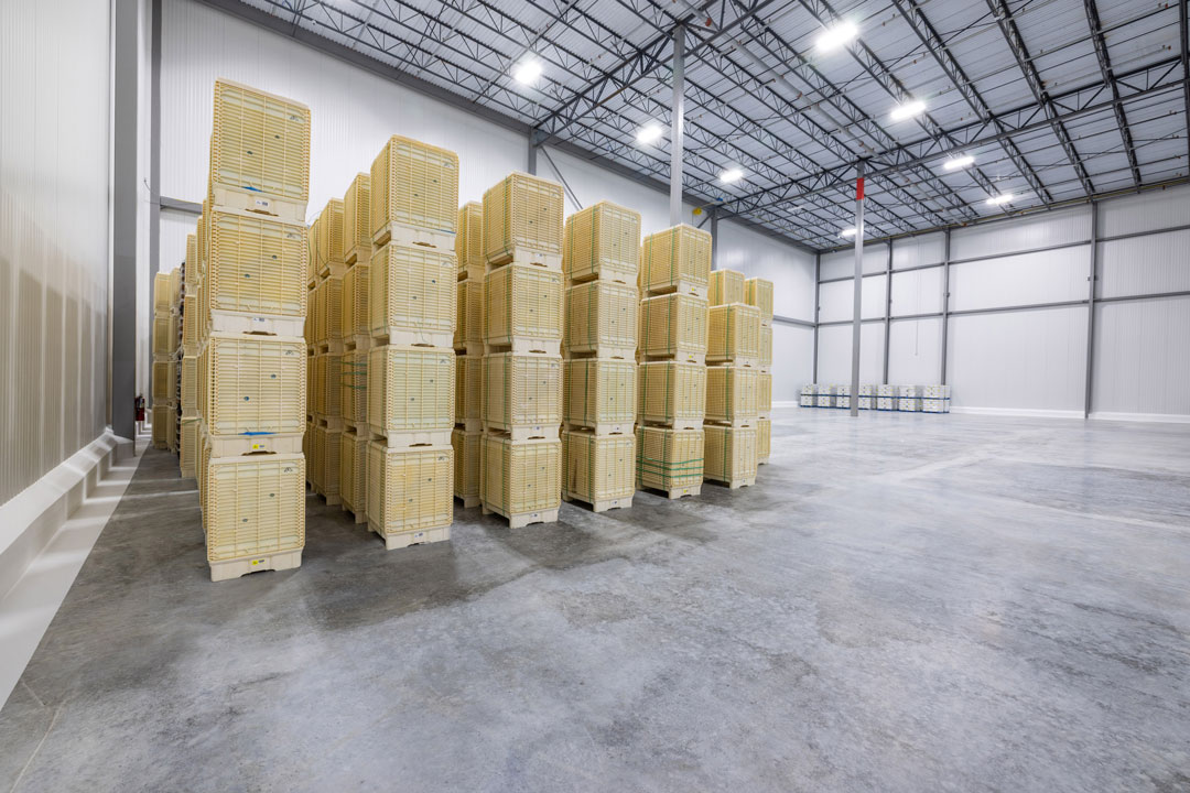 ARCO-Cold-Solutions-Gary-Logan-060